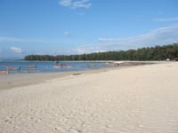 Longtail fishing boats moor at Nai Yang beach and deliver fresh seafood to the local restaurants every day