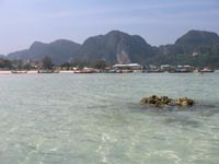 longtails along the beach at Loh Dalam Bay