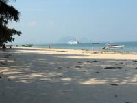 In the distance are the towering limestone karsts of Phang Nga Bay