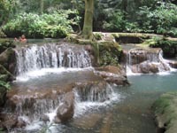 Bok Korani National Park -  Emerald green water forms pools and waterfalls through the forest