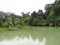 The lake is teeming with carp, tilapia and catfish