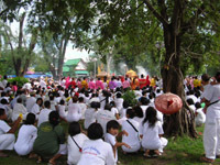 onlookers wear white at the festival