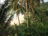 Access to Nai Thorn Beach  is blocked so we only have photos from a distance