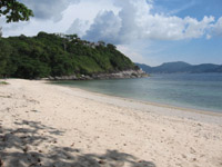 Holiday homes overlook the beach 